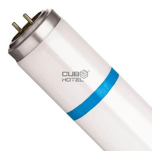 Insectocaçador UV Lamp 15W T8 Coated PHILIPS